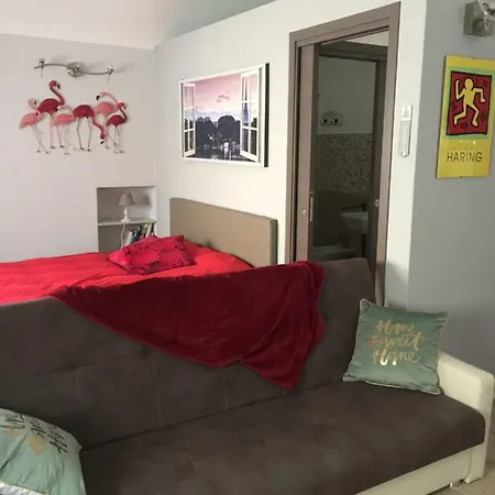 Via Giuseppe Mazzini 50 Sweet * Torino